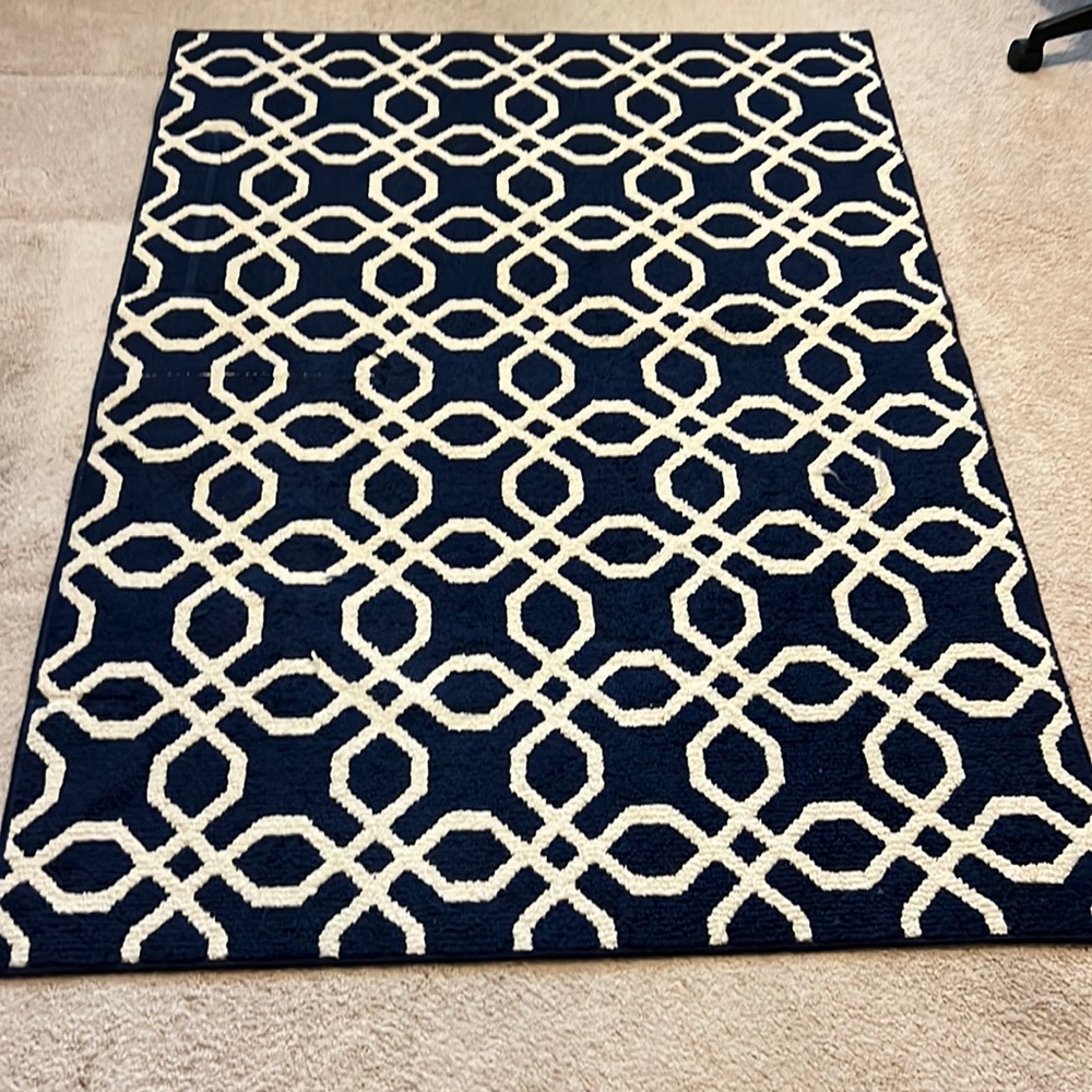 Rug 48in X 66in